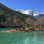 Carolina Sandoval avatar